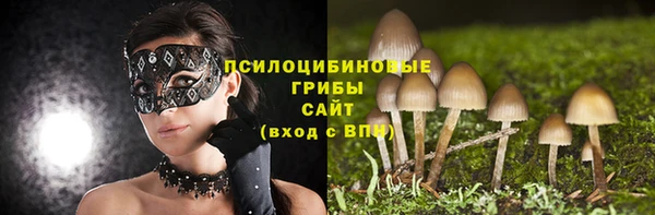 дмт Бородино