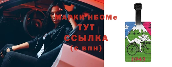 дмт Бородино