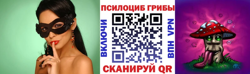 Галлюциногенные грибы Cubensis  Каменка 